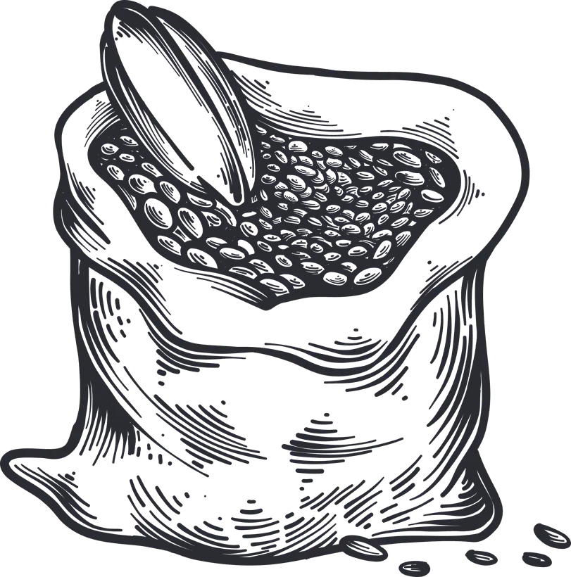Ilustración de grabado de un saco de granos de cacao