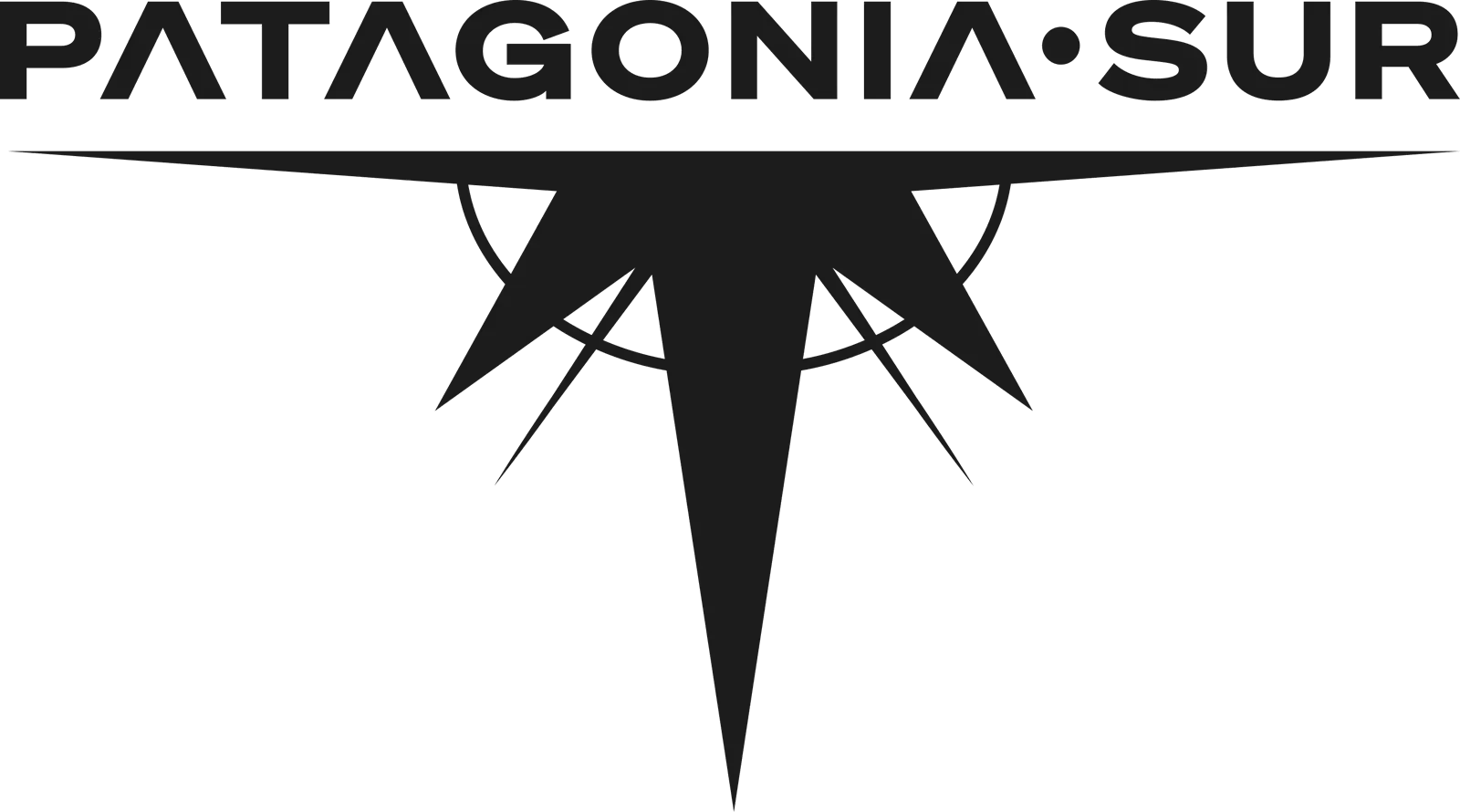 Logotipo de Patagonia Punto Sur con el símbolo de la brújula