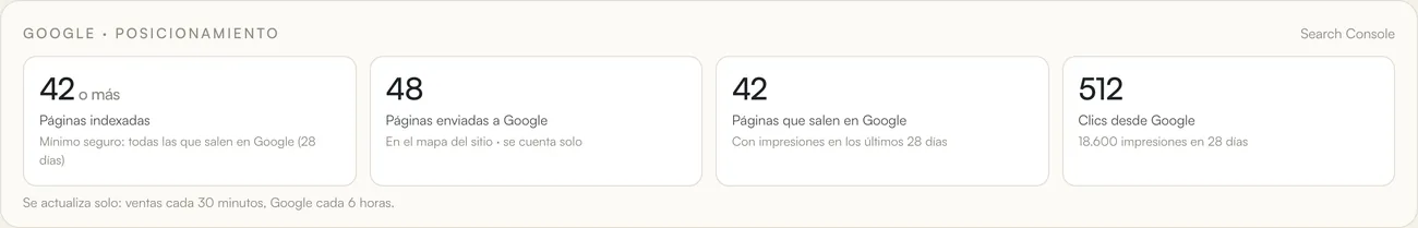 Bloque de posicionamiento en Google con páginas indexadas y clics, datos de ejemplo